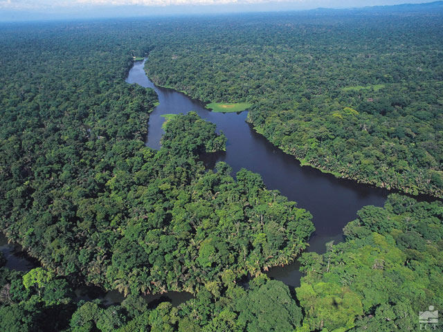 The Canals at Tortuguero National Park