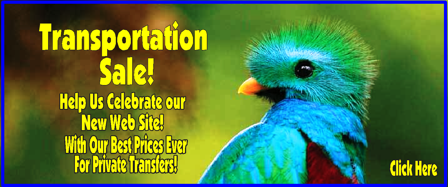 Transportation Banner